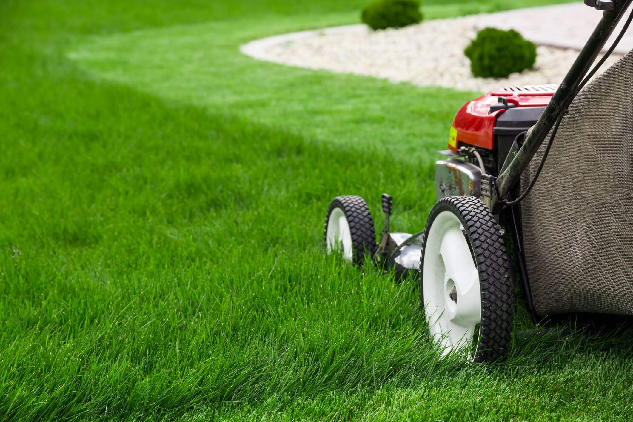 landscaping