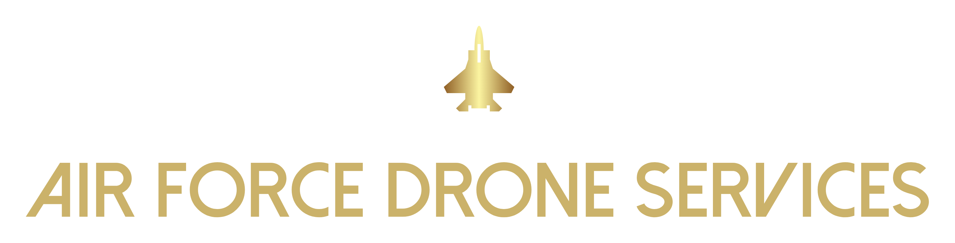 Air Force Drone Services Logo