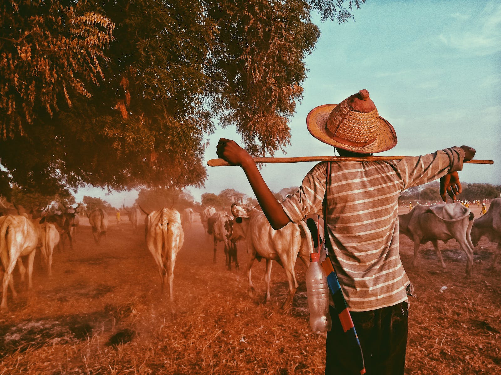 african-farmer-3